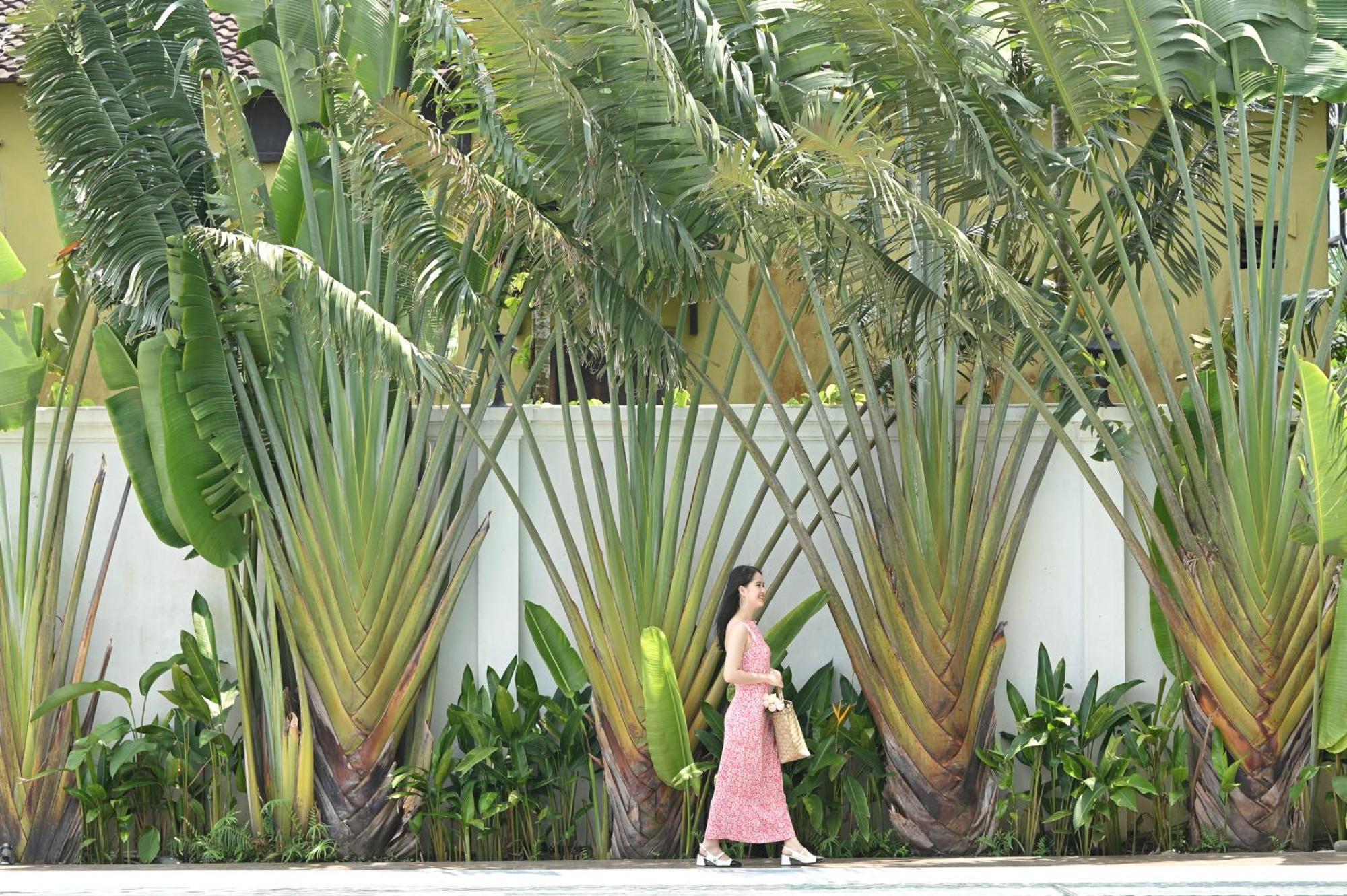 Shining Riverside Hoi An Boutique & Spa Exteriér fotografie